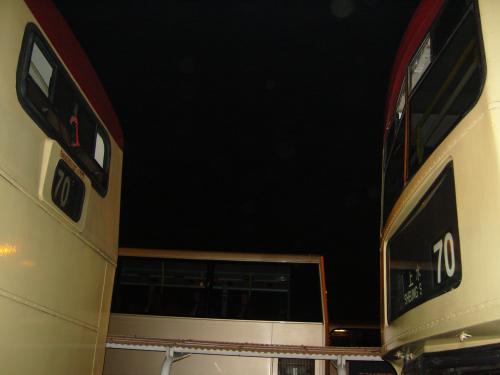 SNC10595.JPG