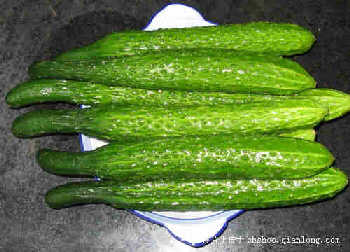 wujuan_031903.jpg