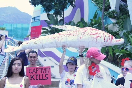 動保人士周六集會 反對海洋公園囚禁動物