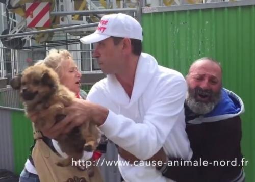 法國愛護動物組織強搶露宿漢愛犬