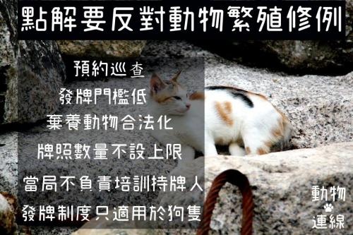 點解要反對動物繁殖修例？因為唔想香港變繁殖城