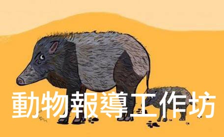 「動物保育」民間報導工作坊