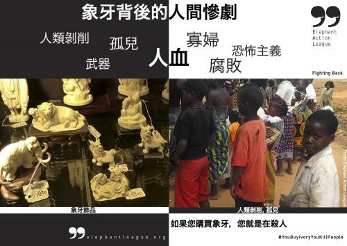 如果您購買象牙，您就是在殺人：象牙販賣的人員傷亡