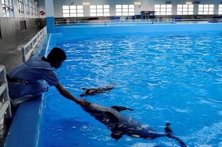 「以教育為目的」的動物園只是虛妄