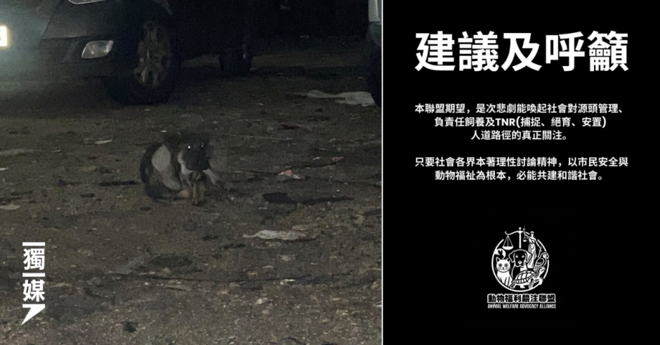 【元朗狗咬人】動保義工籲正視倉狗問題：根本不應存在
