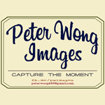 Peter Wong Images 的照片