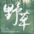 野草 - 第四十五屆香港中文大學學生會幹事會候選內閣 的照片