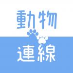 動物連線 Animal Connection 的照片
